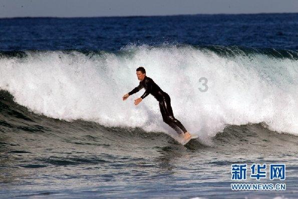 乌龟不知道吃东西怎么办？